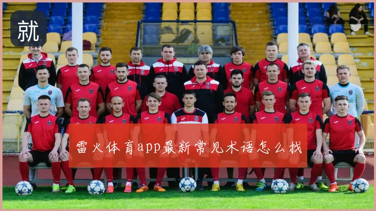 雷火体育app最新常见术语怎么找