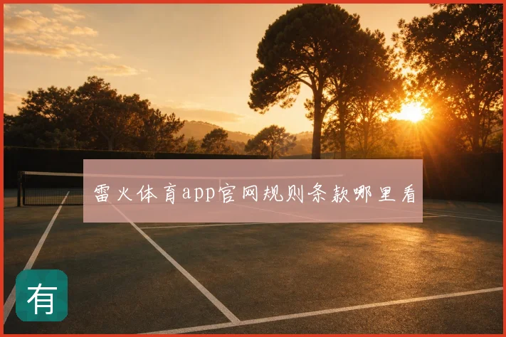 雷火体育app官网规则条款哪里看